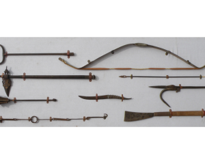 different type of weapon Alwar,Udaipur,kota 17thC,18thC and 19th C.